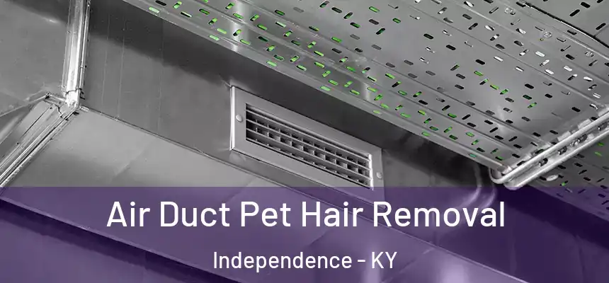  Air Duct Pet Hair Removal Independence - KY
