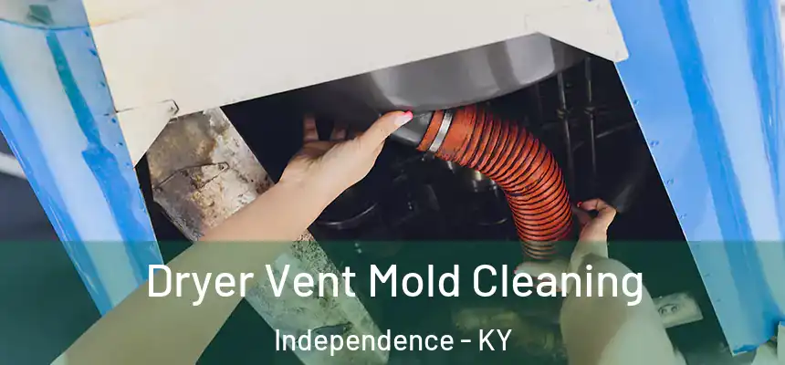 Dryer Vent Mold Cleaning Independence - KY