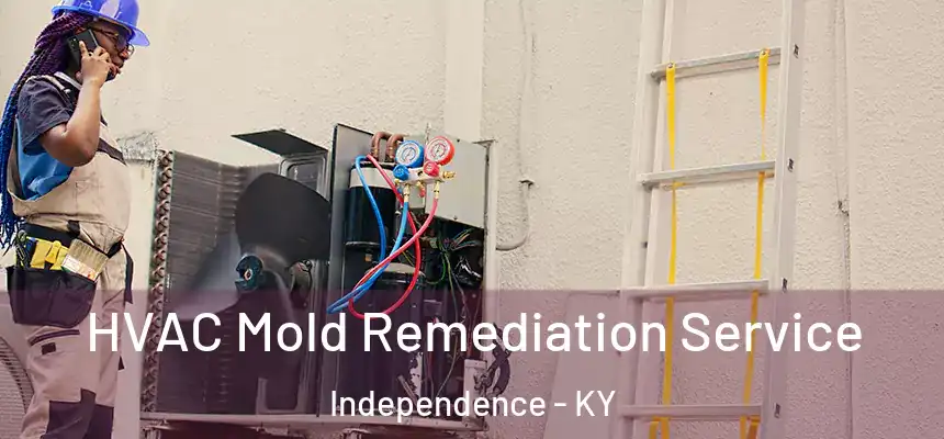 HVAC Mold Remediation Service Independence - KY