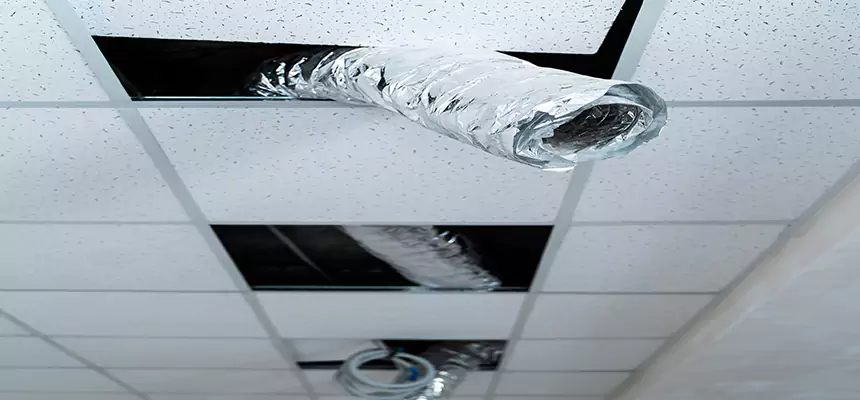 Affordable HVAC Sanitizing After Pest Removal in Independence