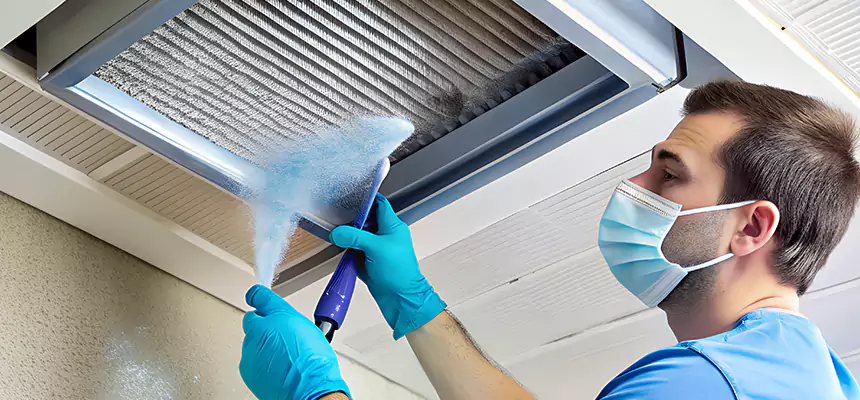 Proactive Dryer Vent & Auxiliary Duct Pollen Cleanup in Independence, KY