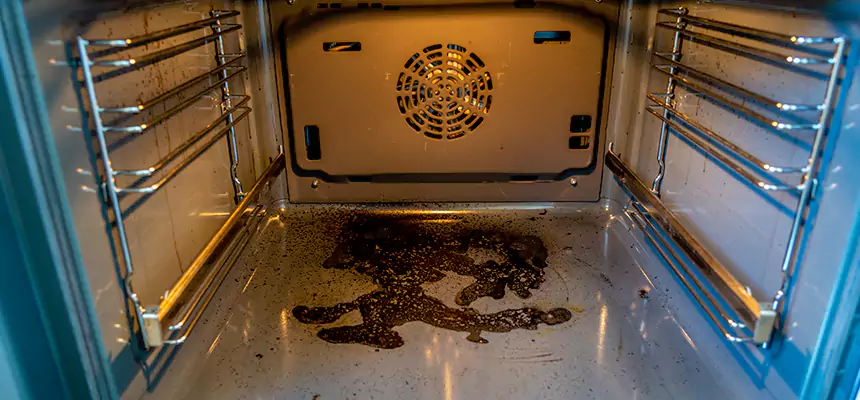 Our Dryer Vent Mold Cleaning Services in Independence, KY