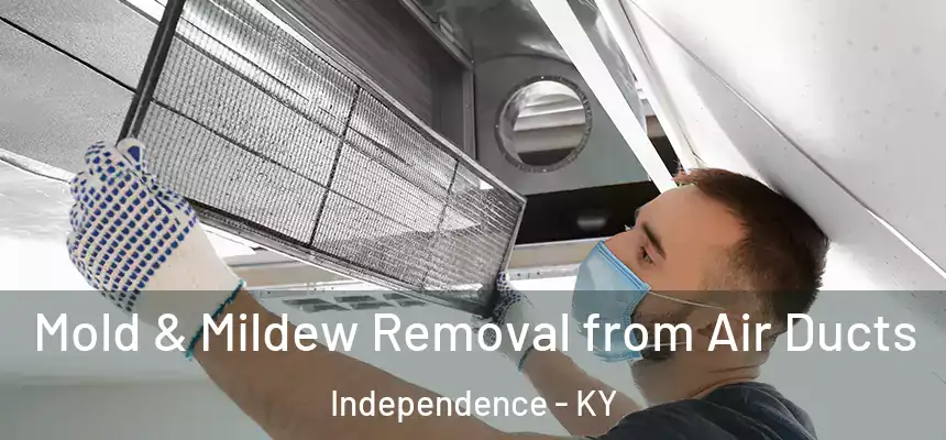  Mold & Mildew Removal from Air Ducts Independence - KY