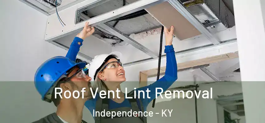 Roof Vent Lint Removal Independence - KY