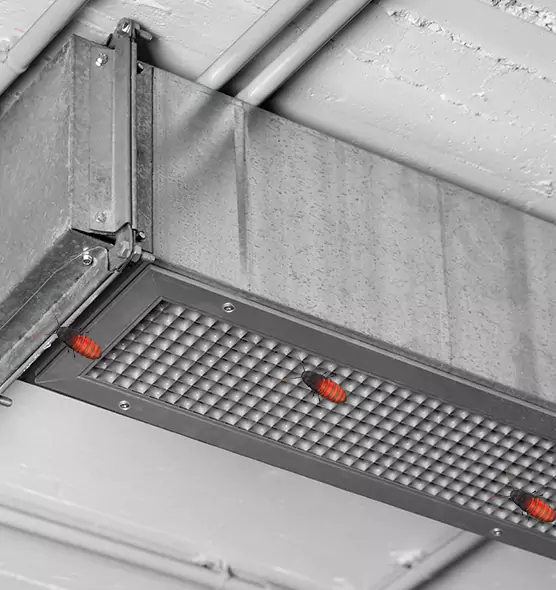 Affordable Insect Removal from Air Ducts in Independence, KY