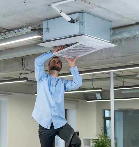 Advanced Rodent Droppings In Vents in Independence, KY