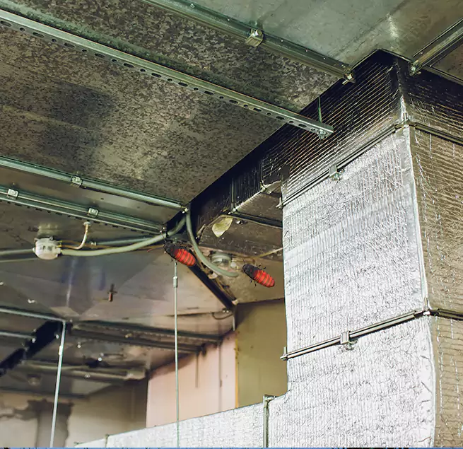 Why Homeowners & Businesses Trust Us in Independence, KY?