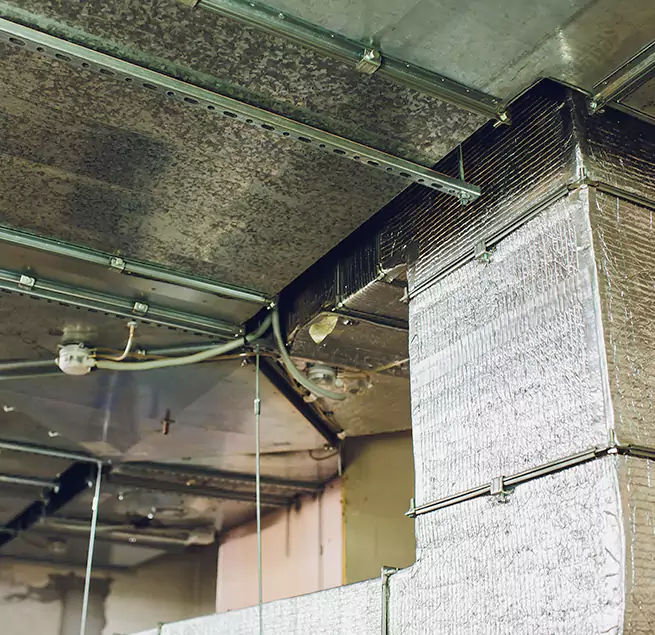 Why Homeowners & Businesses Trust Us in Independence, KY?